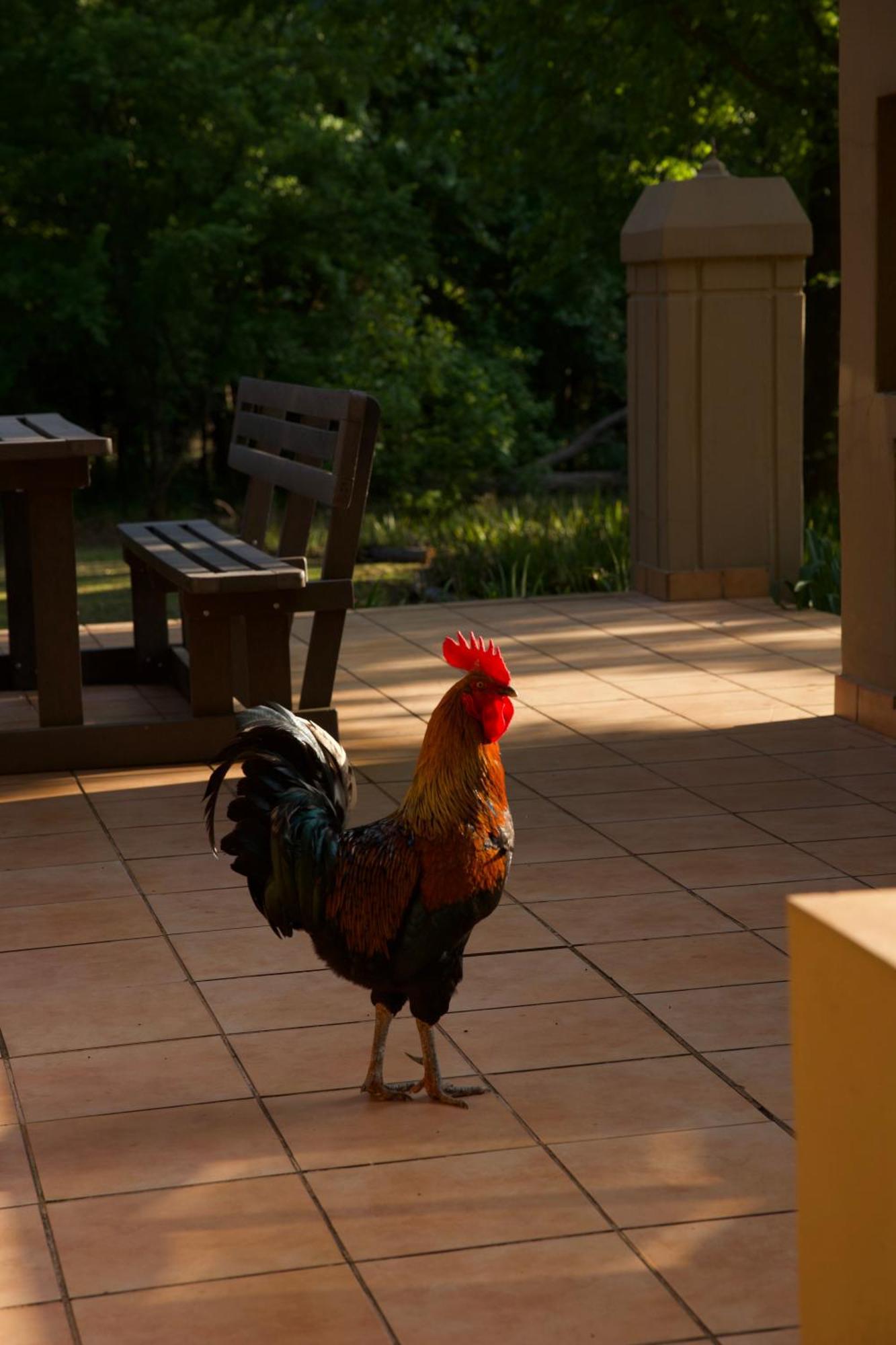 Berghaven Cottages Winterton Εξωτερικό φωτογραφία