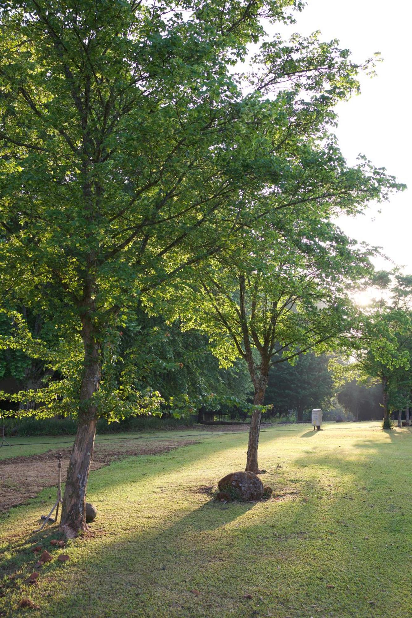 Berghaven Cottages Winterton Εξωτερικό φωτογραφία