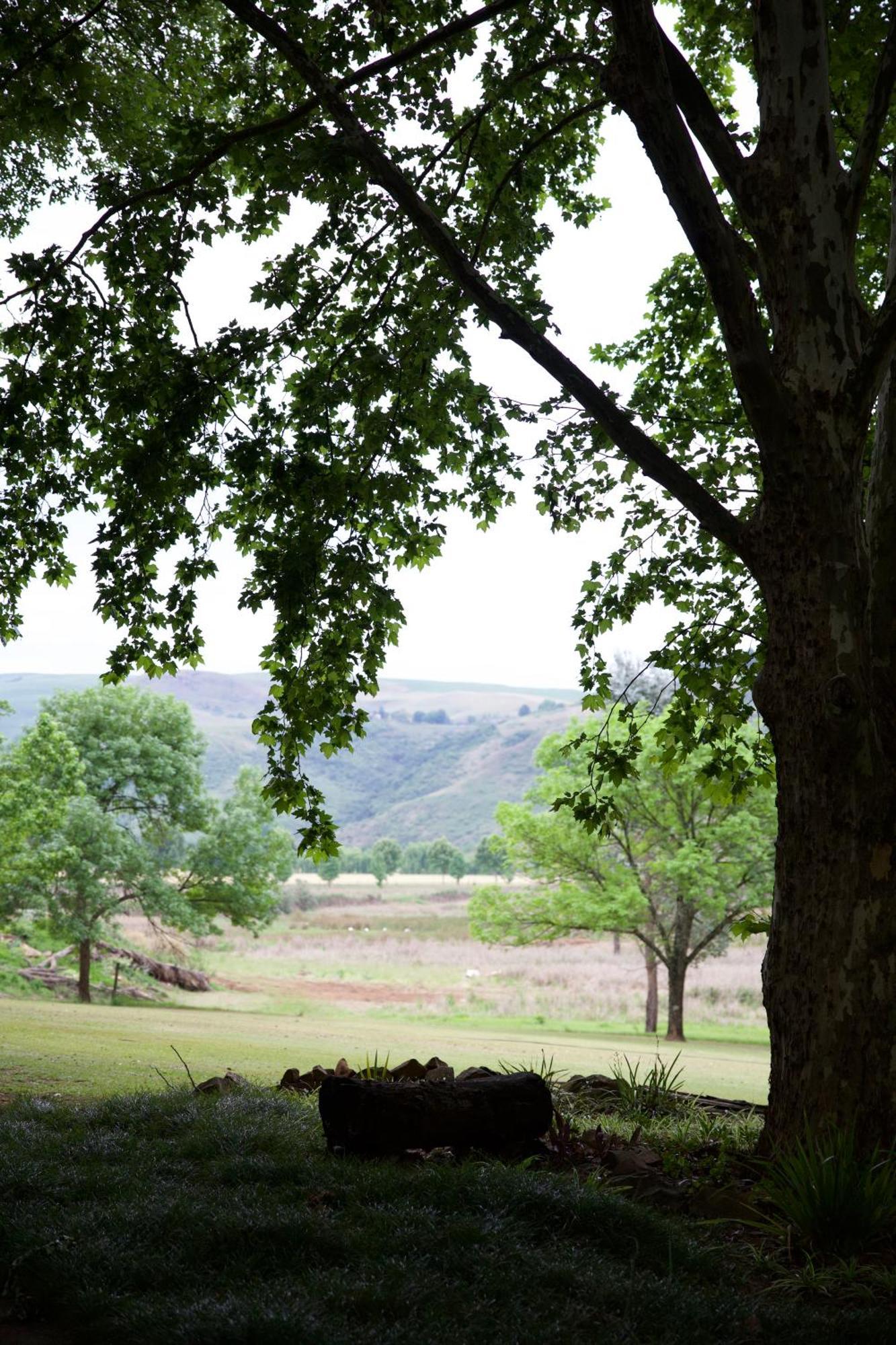 Berghaven Cottages Winterton Εξωτερικό φωτογραφία